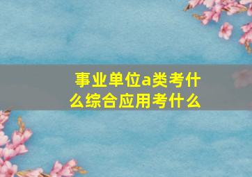 事业单位a类考什么综合应用考什么