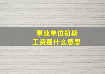 事业单位初期工资是什么意思