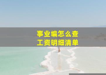 事业编怎么查工资明细清单