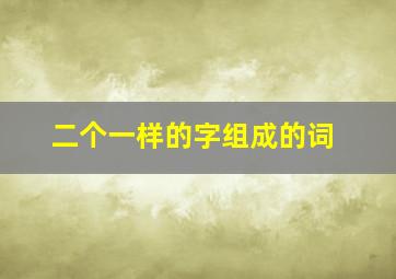 二个一样的字组成的词