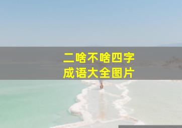 二啥不啥四字成语大全图片