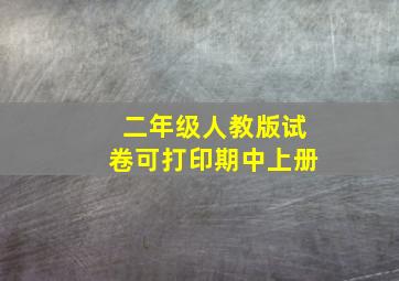 二年级人教版试卷可打印期中上册