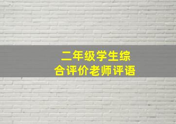 二年级学生综合评价老师评语