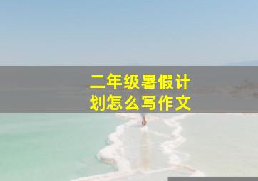 二年级暑假计划怎么写作文