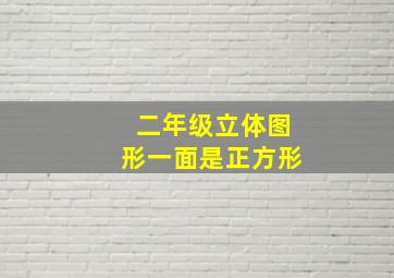 二年级立体图形一面是正方形