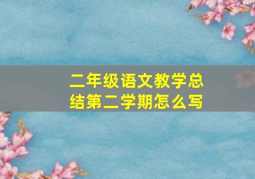 二年级语文教学总结第二学期怎么写