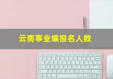 云南事业编报名人数