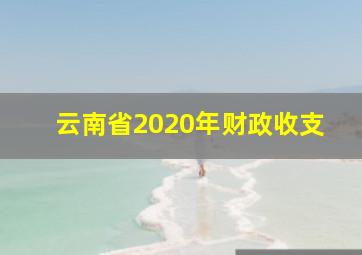 云南省2020年财政收支