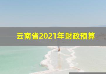 云南省2021年财政预算