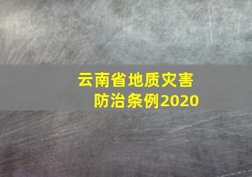 云南省地质灾害防治条例2020