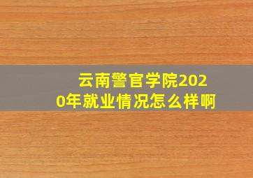 云南警官学院2020年就业情况怎么样啊