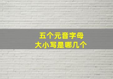 五个元音字母大小写是哪几个