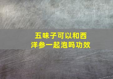 五味子可以和西洋参一起泡吗功效