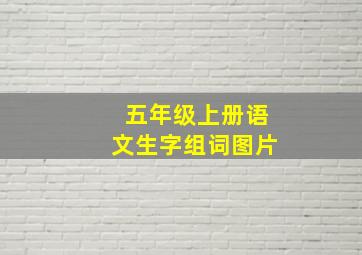 五年级上册语文生字组词图片