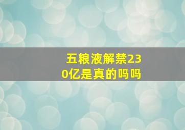 五粮液解禁230亿是真的吗吗