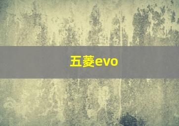 五菱evo