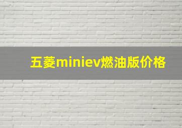 五菱miniev燃油版价格