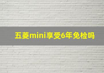 五菱mini享受6年免检吗