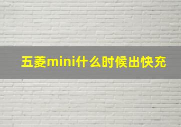 五菱mini什么时候出快充