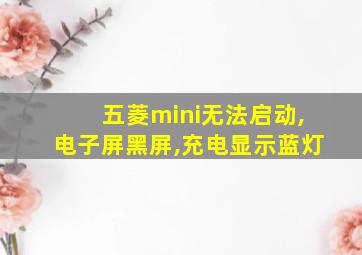 五菱mini无法启动,电子屏黑屏,充电显示蓝灯