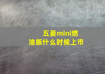 五菱mini燃油版什么时候上市