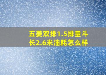 五菱双排1.5排量斗长2.6米油耗怎么样