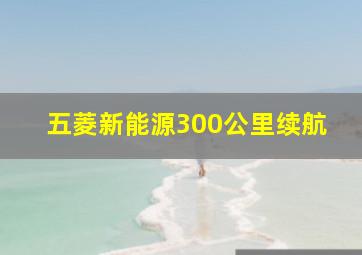 五菱新能源300公里续航