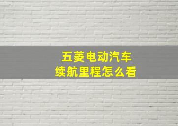 五菱电动汽车续航里程怎么看