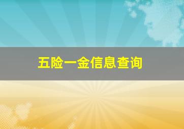 五险一金信息查询