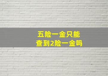 五险一金只能查到2险一金吗