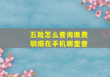 五险怎么查询缴费明细在手机哪里查