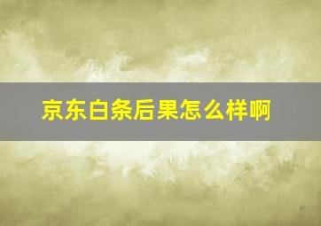 京东白条后果怎么样啊