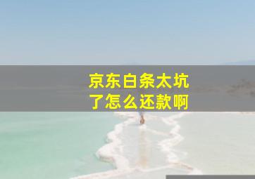 京东白条太坑了怎么还款啊