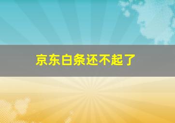 京东白条还不起了