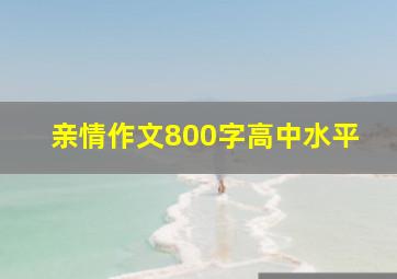 亲情作文800字高中水平