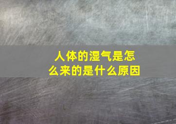 人体的湿气是怎么来的是什么原因