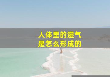 人体里的湿气是怎么形成的