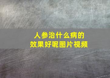 人参治什么病的效果好呢图片视频