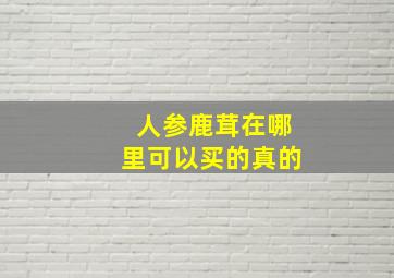 人参鹿茸在哪里可以买的真的