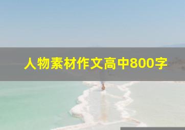 人物素材作文高中800字