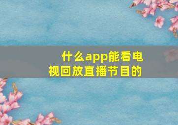 什么app能看电视回放直播节目的