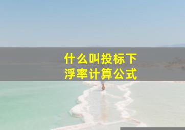 什么叫投标下浮率计算公式