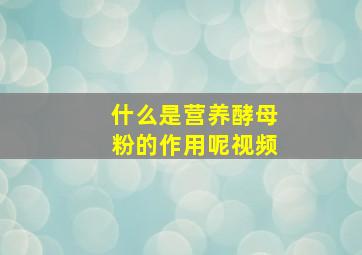 什么是营养酵母粉的作用呢视频