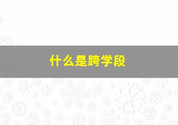 什么是跨学段