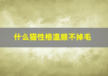 什么猫性格温顺不掉毛