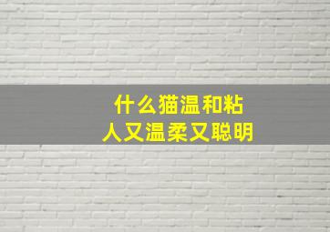 什么猫温和粘人又温柔又聪明