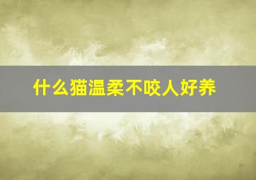 什么猫温柔不咬人好养