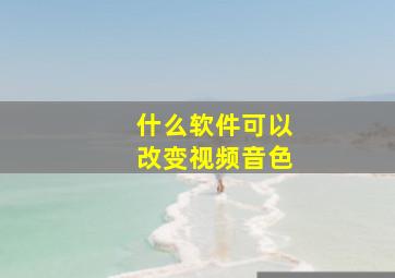 什么软件可以改变视频音色