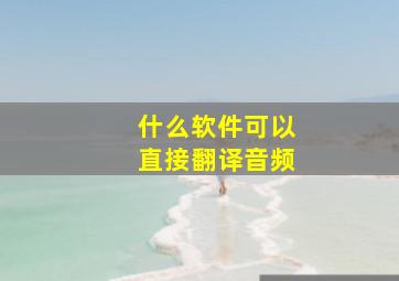 什么软件可以直接翻译音频