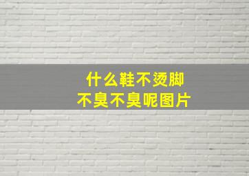 什么鞋不烫脚不臭不臭呢图片